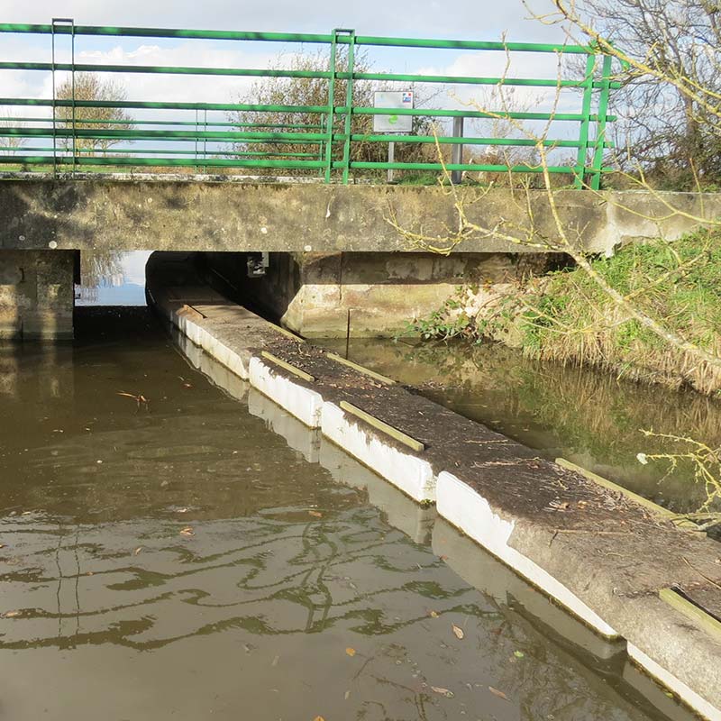 Wildlife crossing under a bridge: floating walkway – LIFE Vison