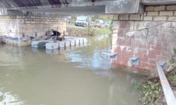 Bridges equipped for the European Mink