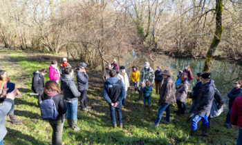 On the track of the European Mink in Marsac!